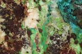 Chrysocolla & Malachite Slab From Arizona - Clear Coated #119750-1
